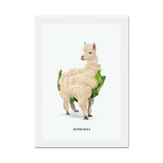 Greenwood Loop Alpaca Wall Art Print — gallery image 53