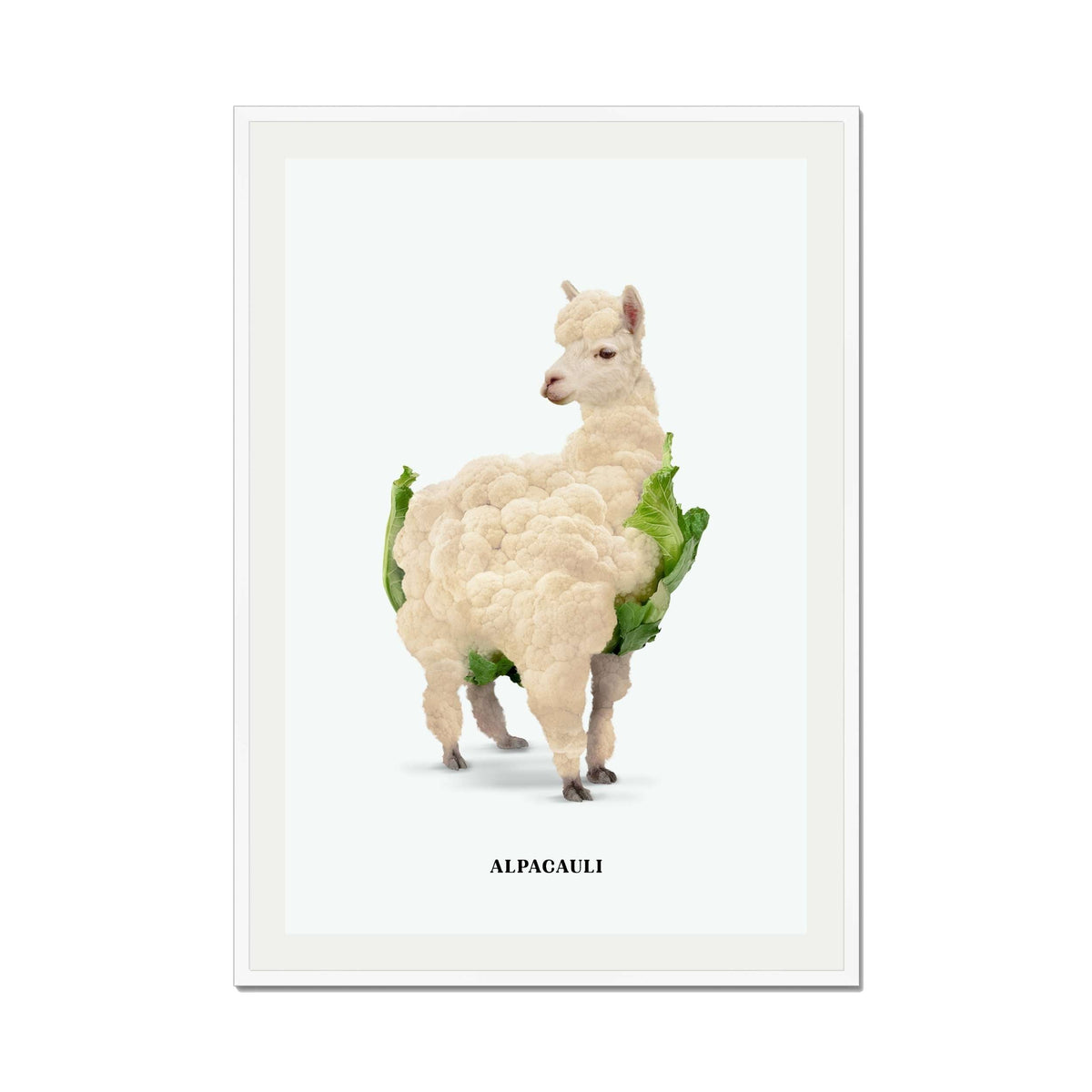 Greenwood Loop Alpaca Wall Art Print — gallery image 53
