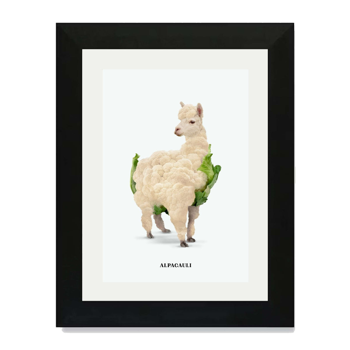 Greenwood Loop Alpaca Wall Art Print — gallery image 54