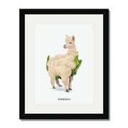 Greenwood Loop Alpaca Wall Art Print — gallery image 21