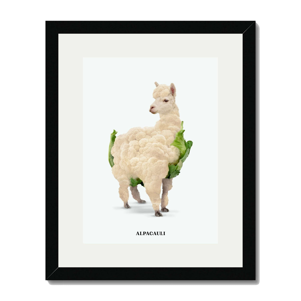 Greenwood Loop Alpaca Wall Art Print — gallery image 21