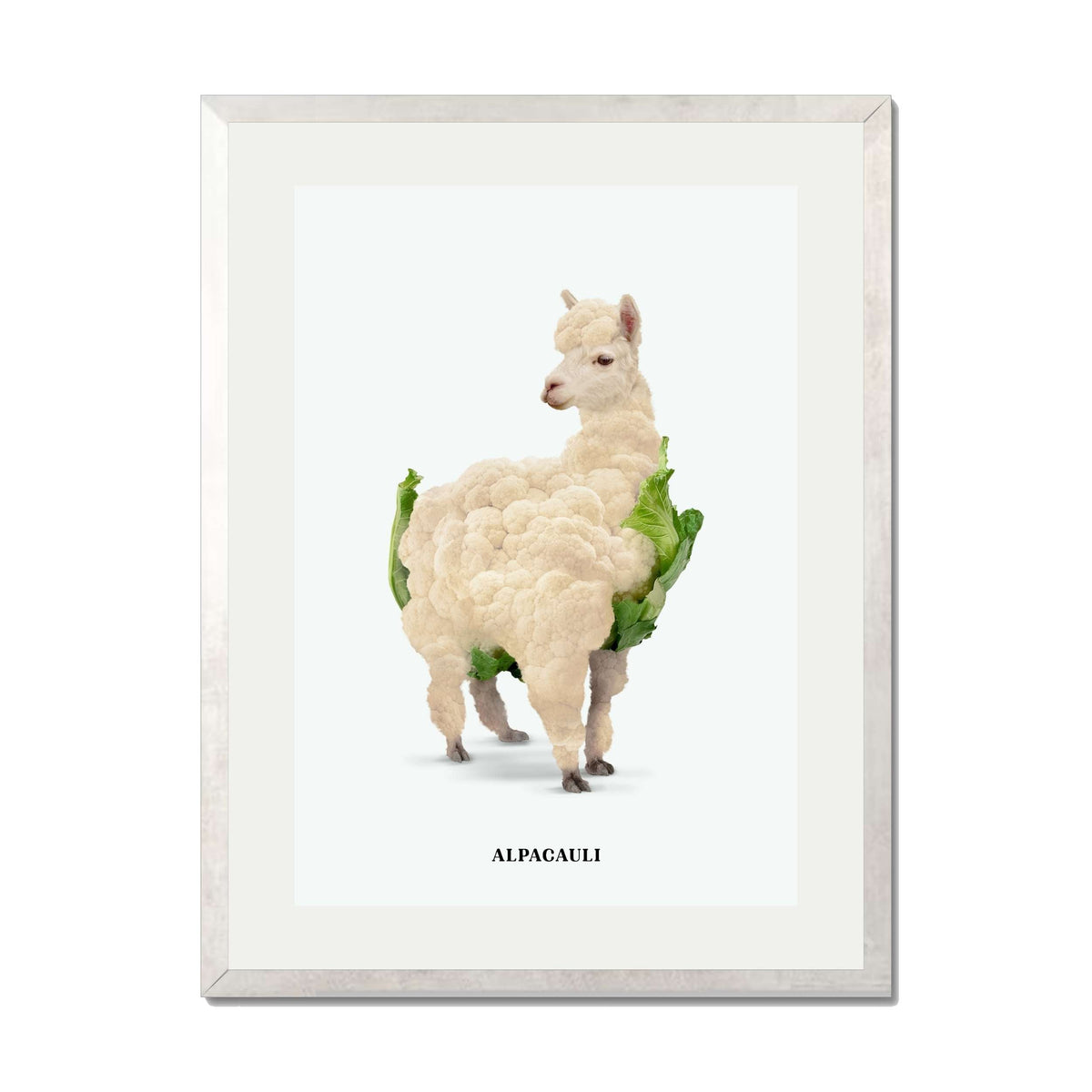 Greenwood Loop Alpaca Wall Art Print — gallery image 47