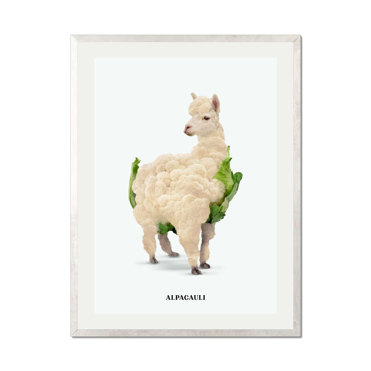 Greenwood Loop Alpaca Wall Art Print — gallery image 48