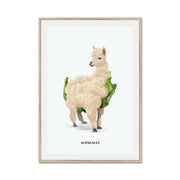 Greenwood Loop Alpaca Wall Art Print — gallery image 45