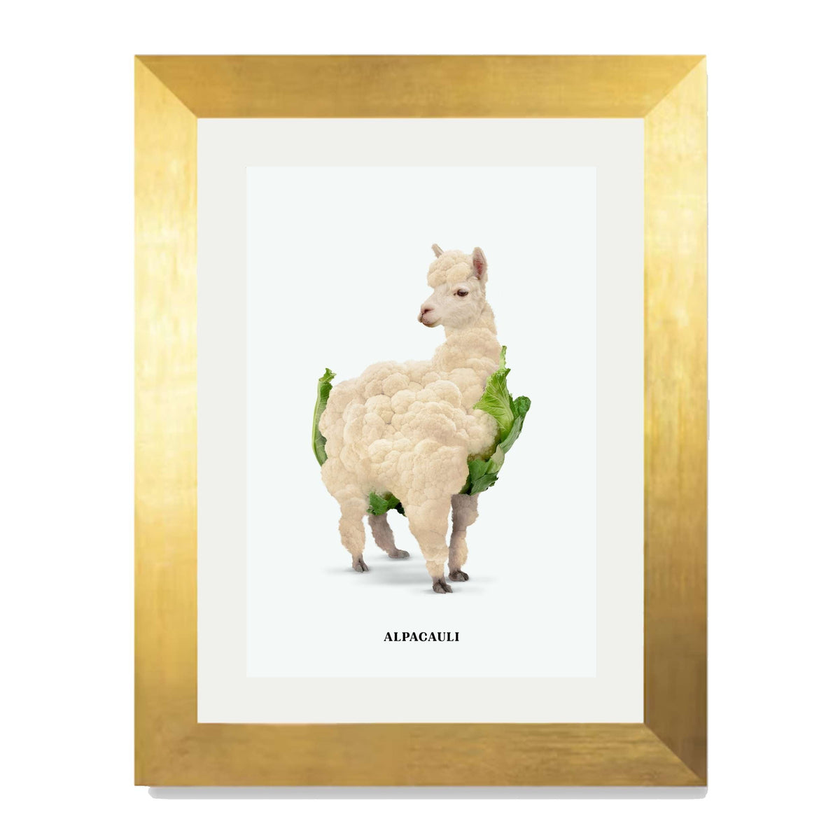 Greenwood Loop Alpaca Wall Art Print — gallery image 33