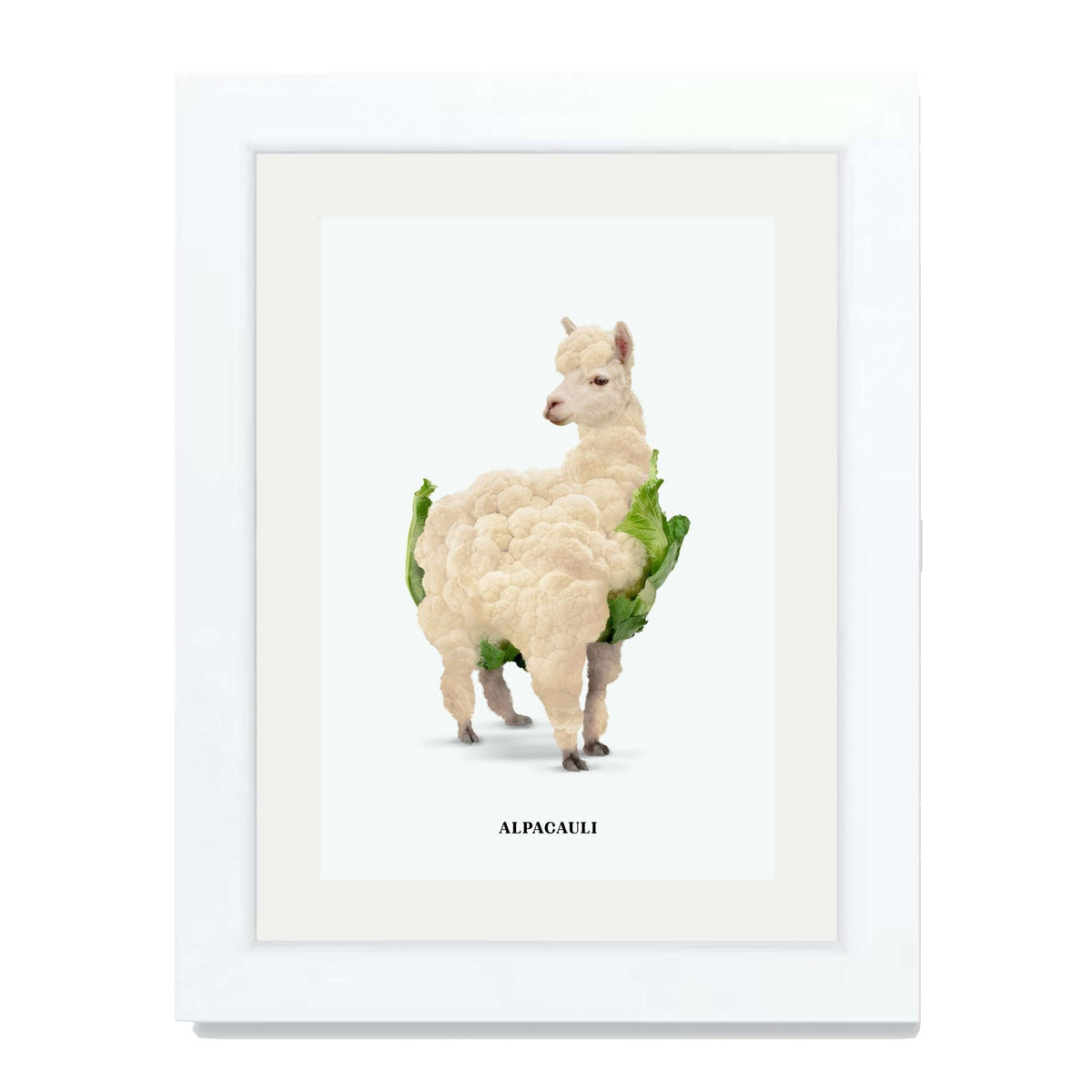 Greenwood Loop Alpaca Wall Art Print — gallery image 49