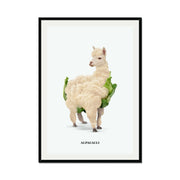 Greenwood Loop Alpaca Wall Art Print — gallery image 25