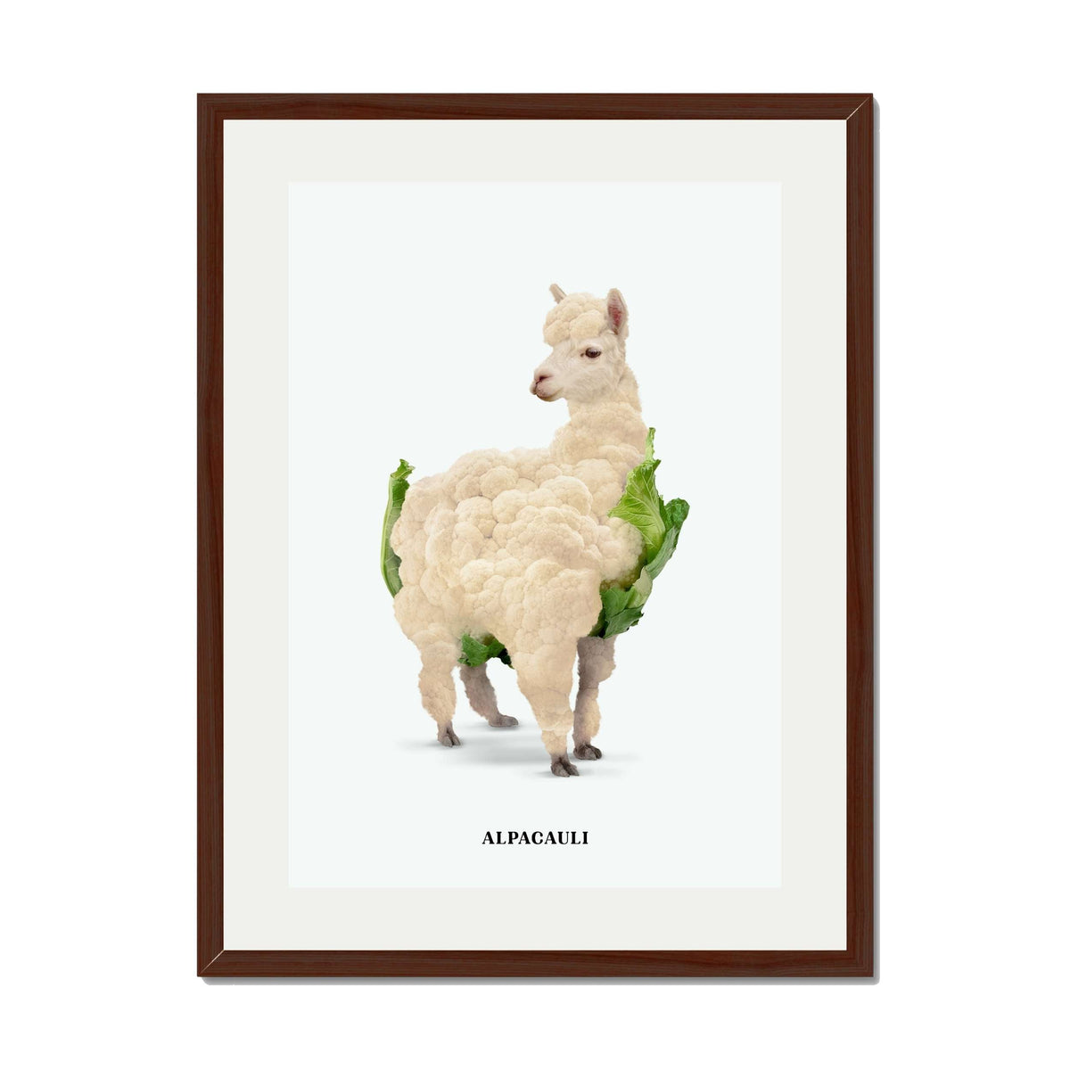 Greenwood Loop Alpaca Wall Art Print — gallery image 27