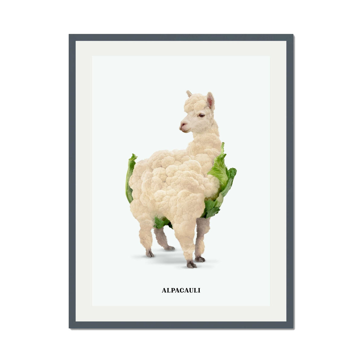Greenwood Loop Alpaca Wall Art Print — gallery image 31