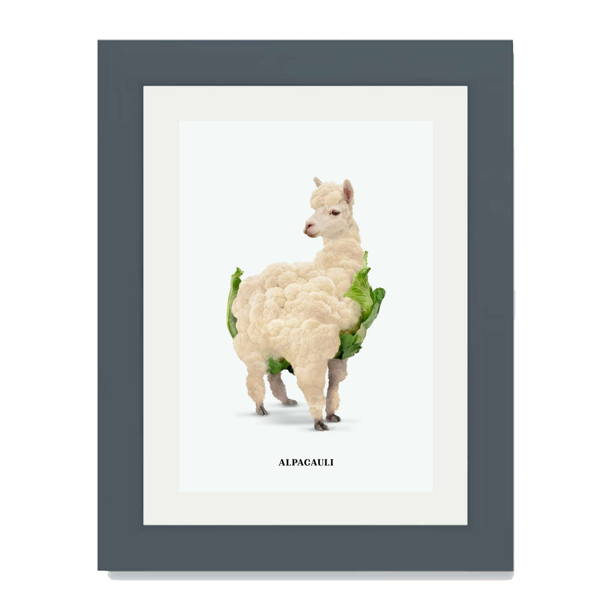 Greenwood Loop Alpaca Wall Art Print — gallery image 28