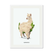 Greenwood Loop Alpaca Wall Art Print — gallery image 52