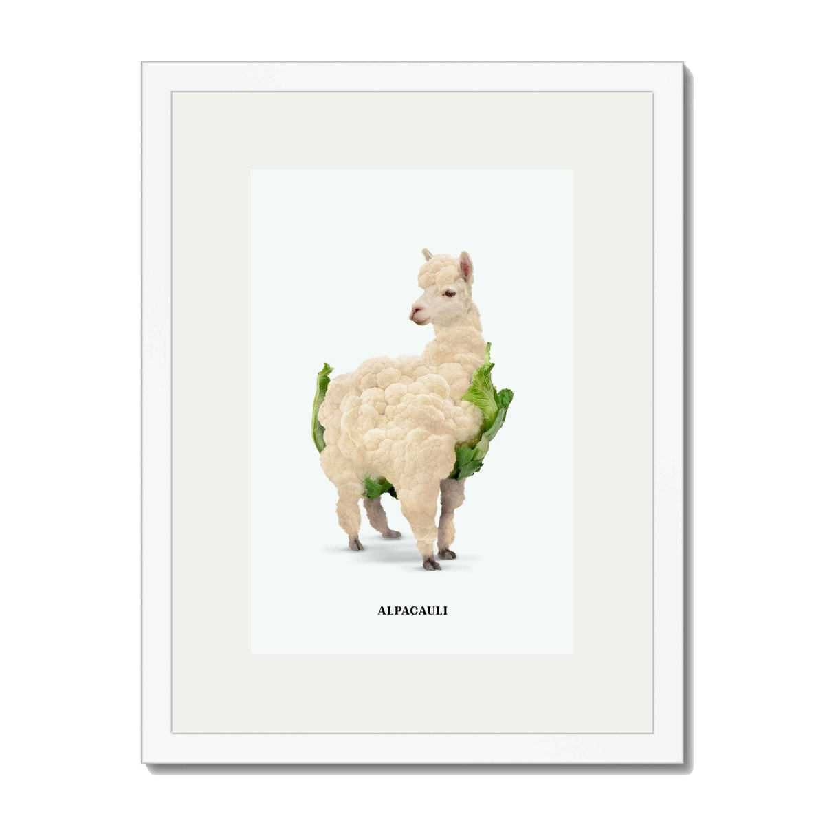 Greenwood Loop Alpaca Wall Art Print — gallery image 51