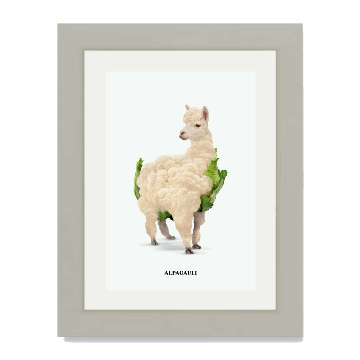 Greenwood Loop Alpaca Wall Art Print — gallery image 39