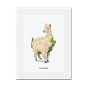 Greenwood Loop Alpaca Wall Art Print — gallery image 68