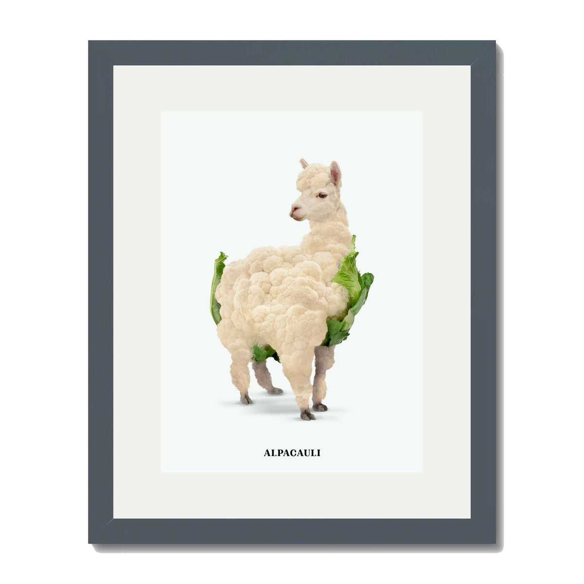 Greenwood Loop Alpaca Wall Art Print — gallery image 29