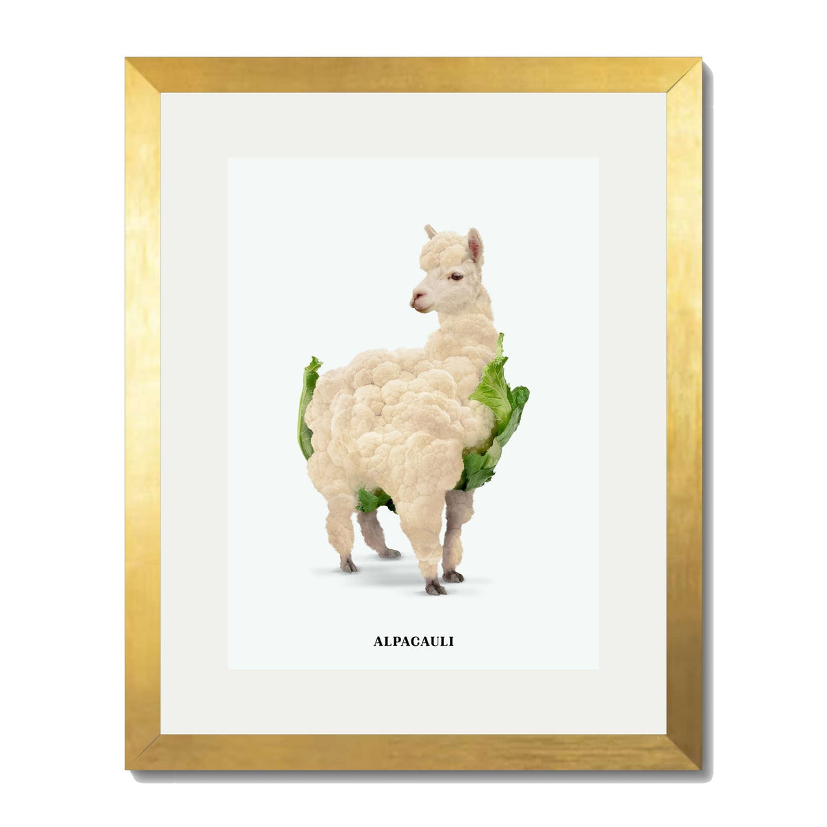 Greenwood Loop Alpaca Wall Art Print — gallery image 34
