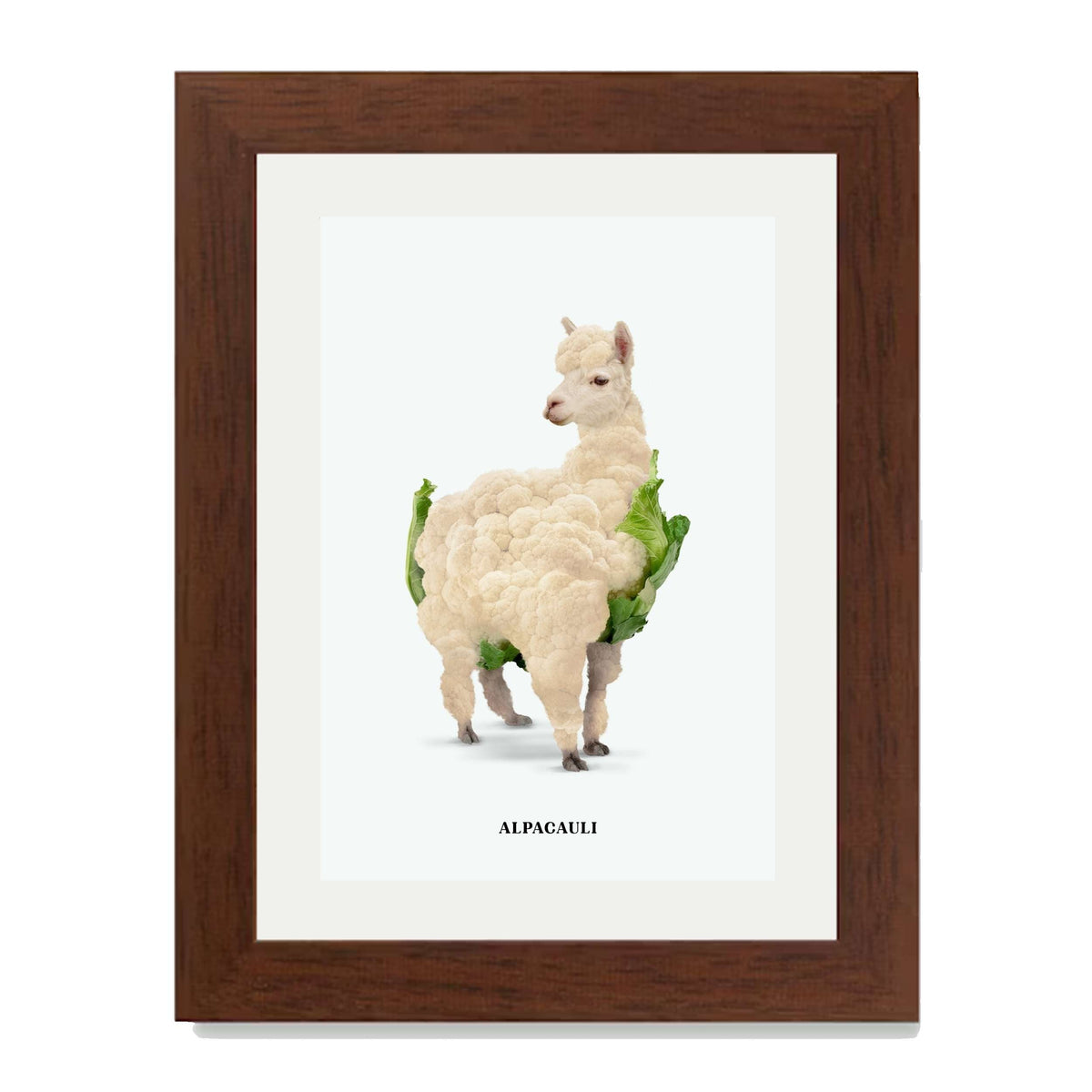 Greenwood Loop Alpaca Wall Art Print — gallery image 64