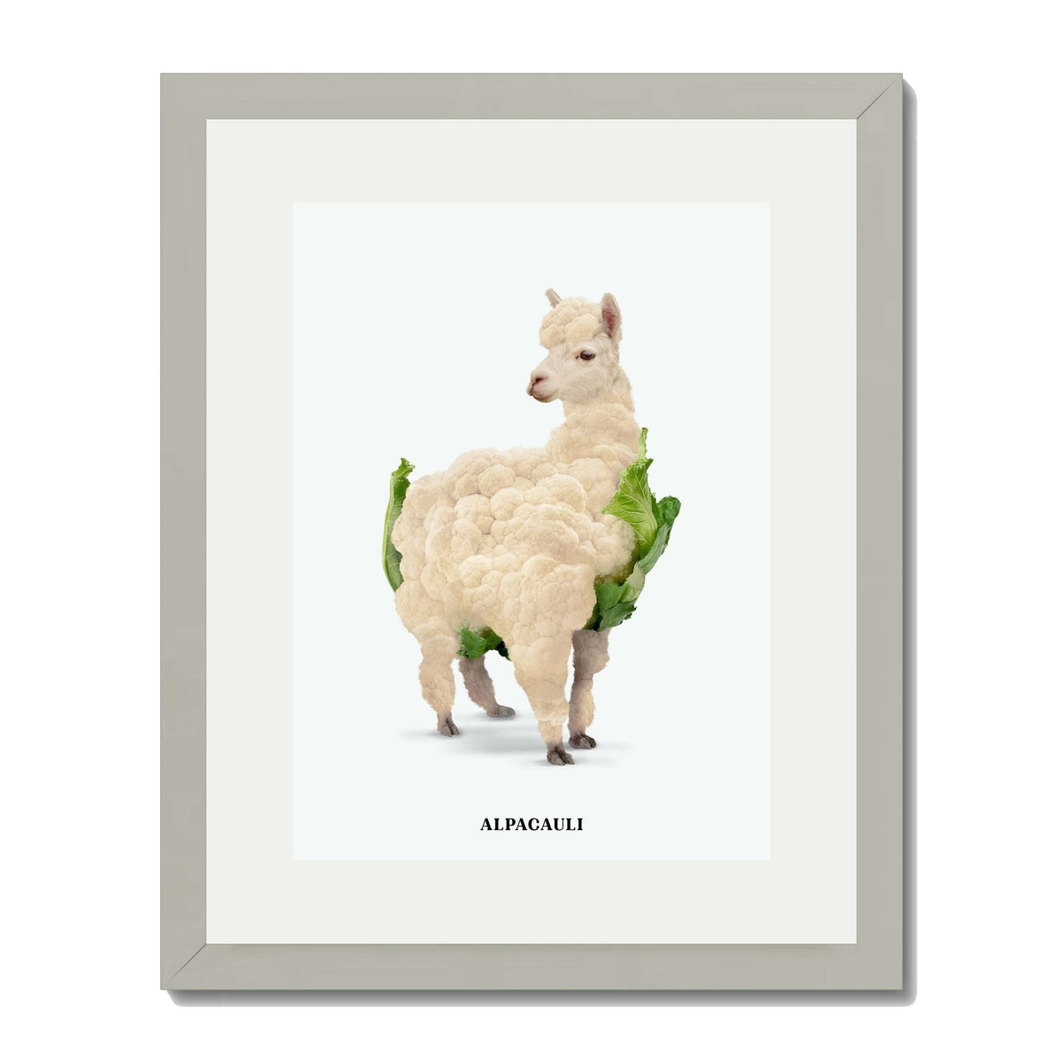 Greenwood Loop Alpaca Wall Art Print — gallery image 40