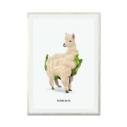 Greenwood Loop Alpaca Wall Art Print — gallery image 67