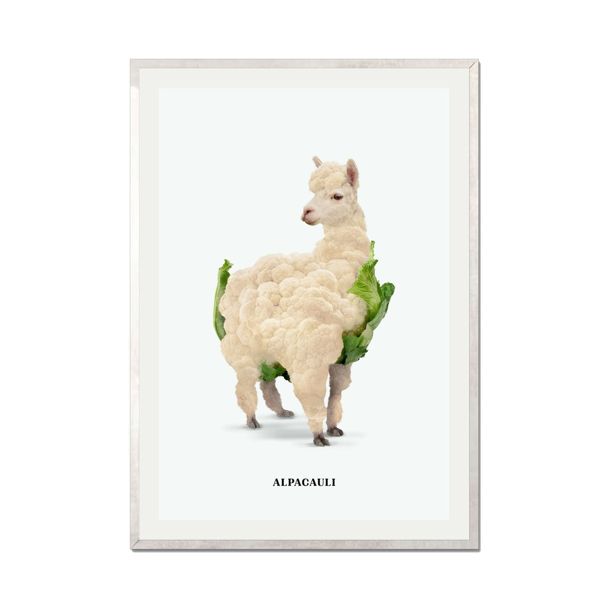 Greenwood Loop Alpaca Wall Art Print — gallery image 67