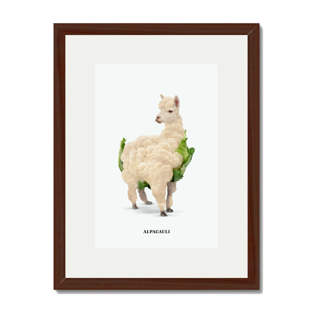 Greenwood Loop Alpaca Wall Art Print — gallery image 26