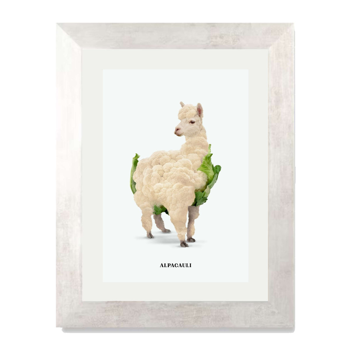 Greenwood Loop Alpaca Wall Art Print — gallery image 65