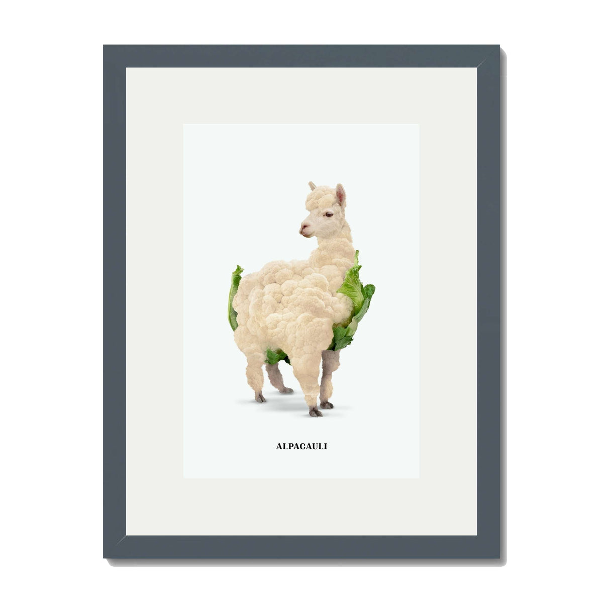 Greenwood Loop Alpaca Wall Art Print — gallery image 58