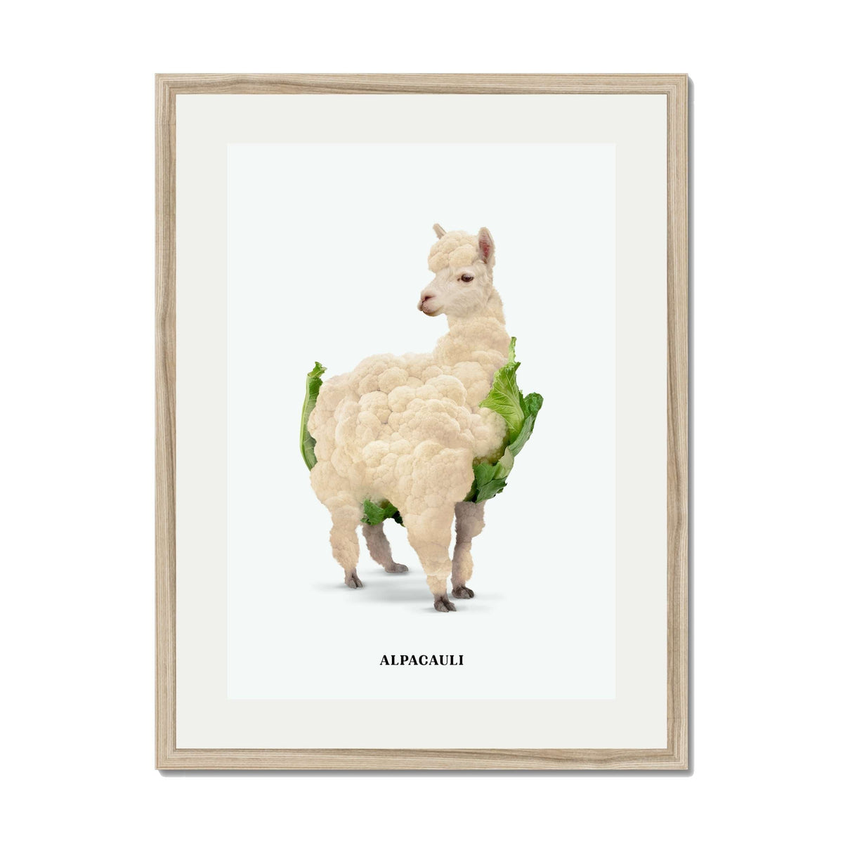 Greenwood Loop Alpaca Wall Art Print — gallery image 63
