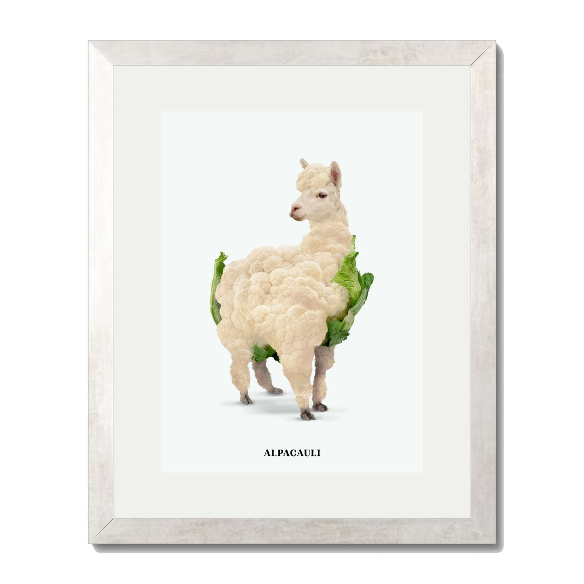 Greenwood Loop Alpaca Wall Art Print — gallery image 66