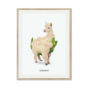 Greenwood Loop Alpaca Wall Art Print — gallery image 44