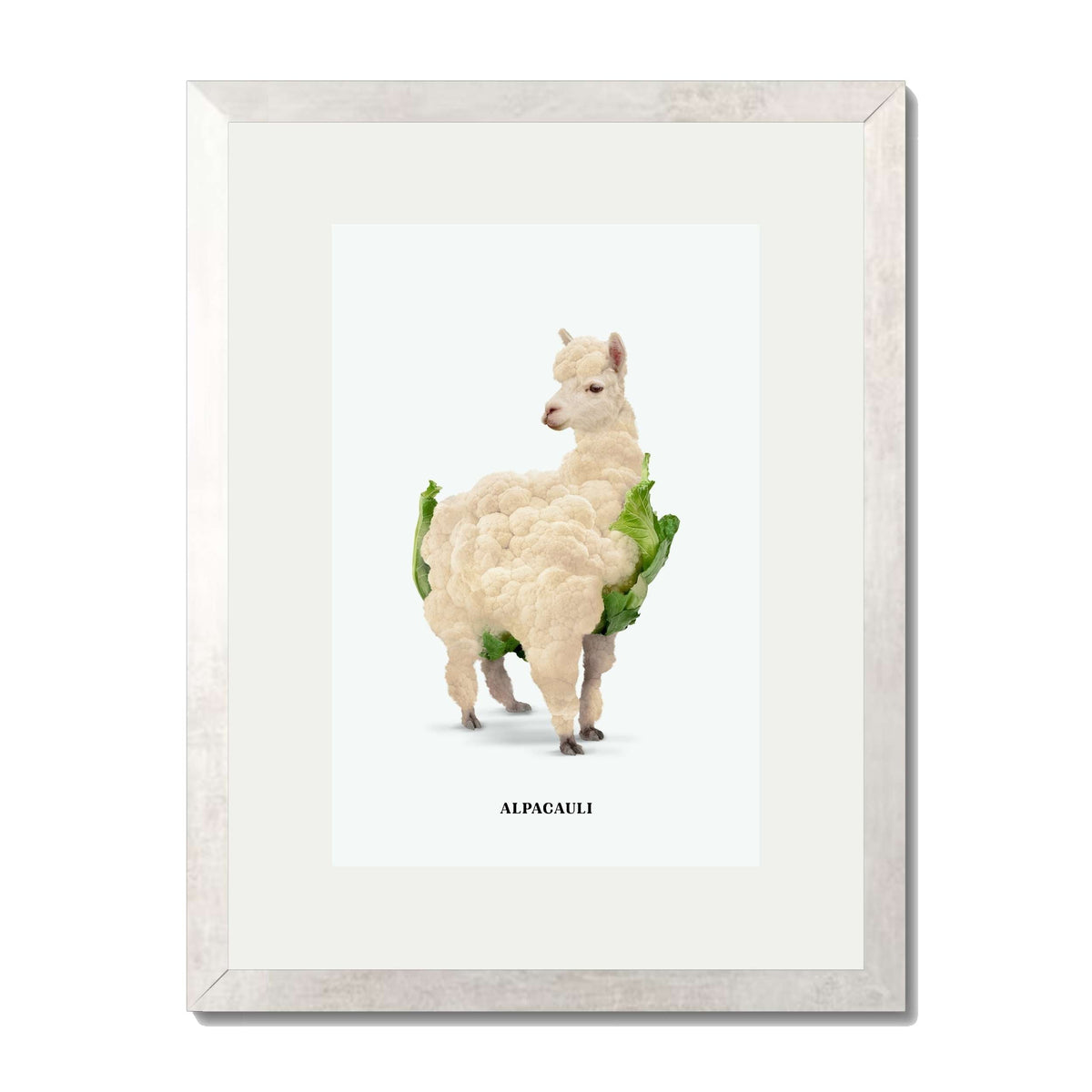 Greenwood Loop Alpaca Wall Art Print — gallery image 46