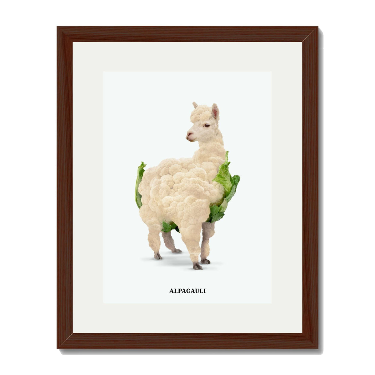 Greenwood Loop Alpaca Wall Art Print — gallery image 55