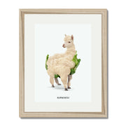Greenwood Loop Alpaca Wall Art Print — gallery image 43