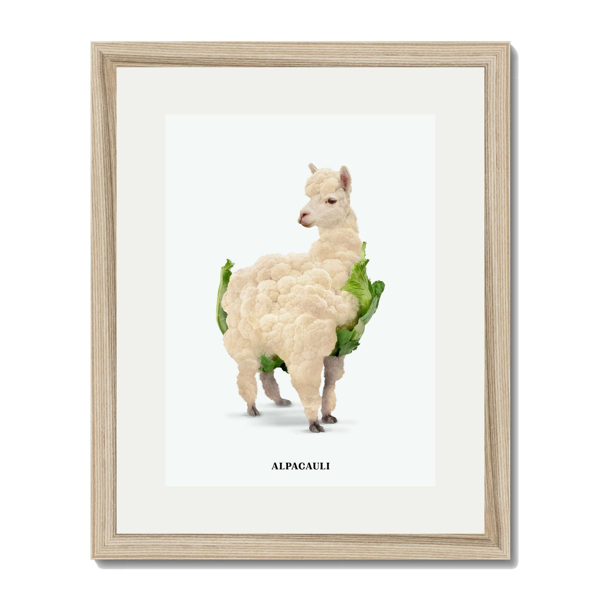 Greenwood Loop Alpaca Wall Art Print — gallery image 43
