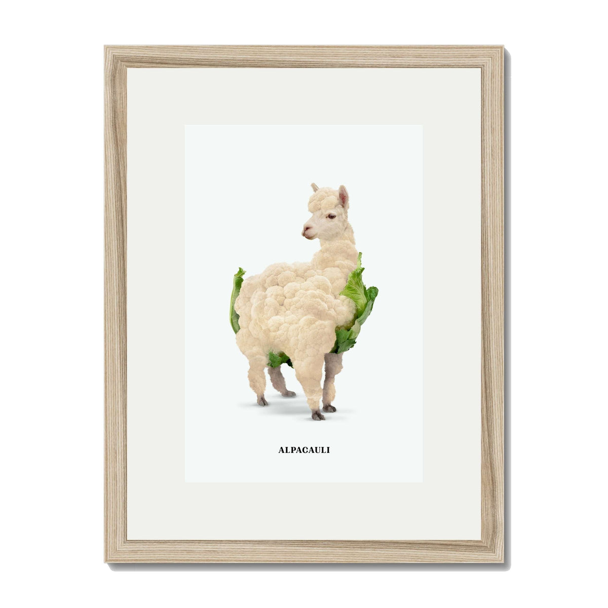 Greenwood Loop Alpaca Wall Art Print — gallery image 62