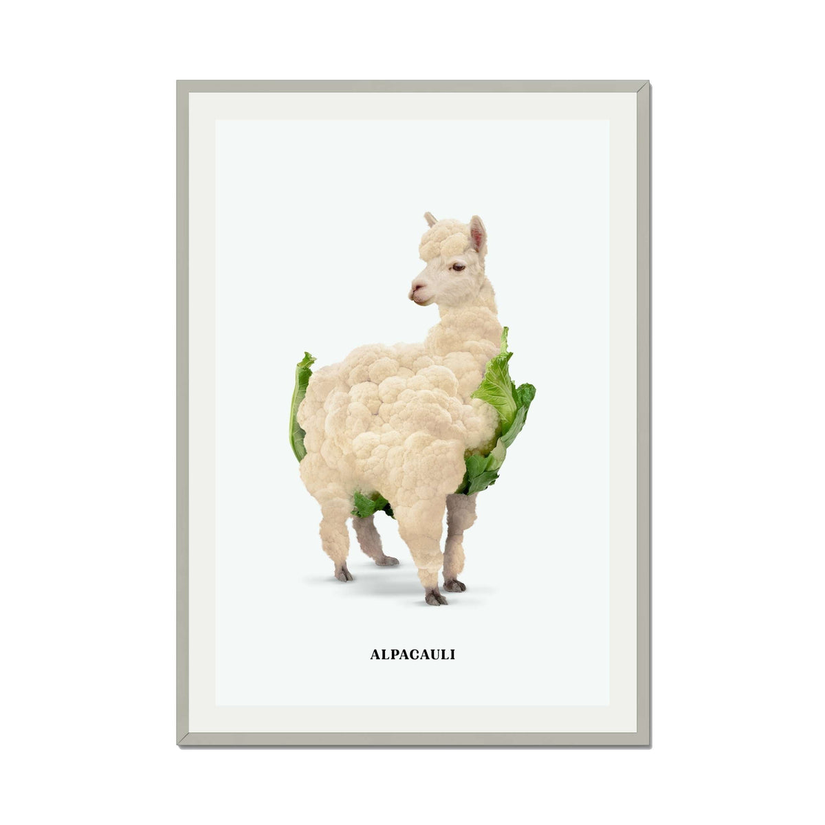 Greenwood Loop Alpaca Wall Art Print — gallery image 42