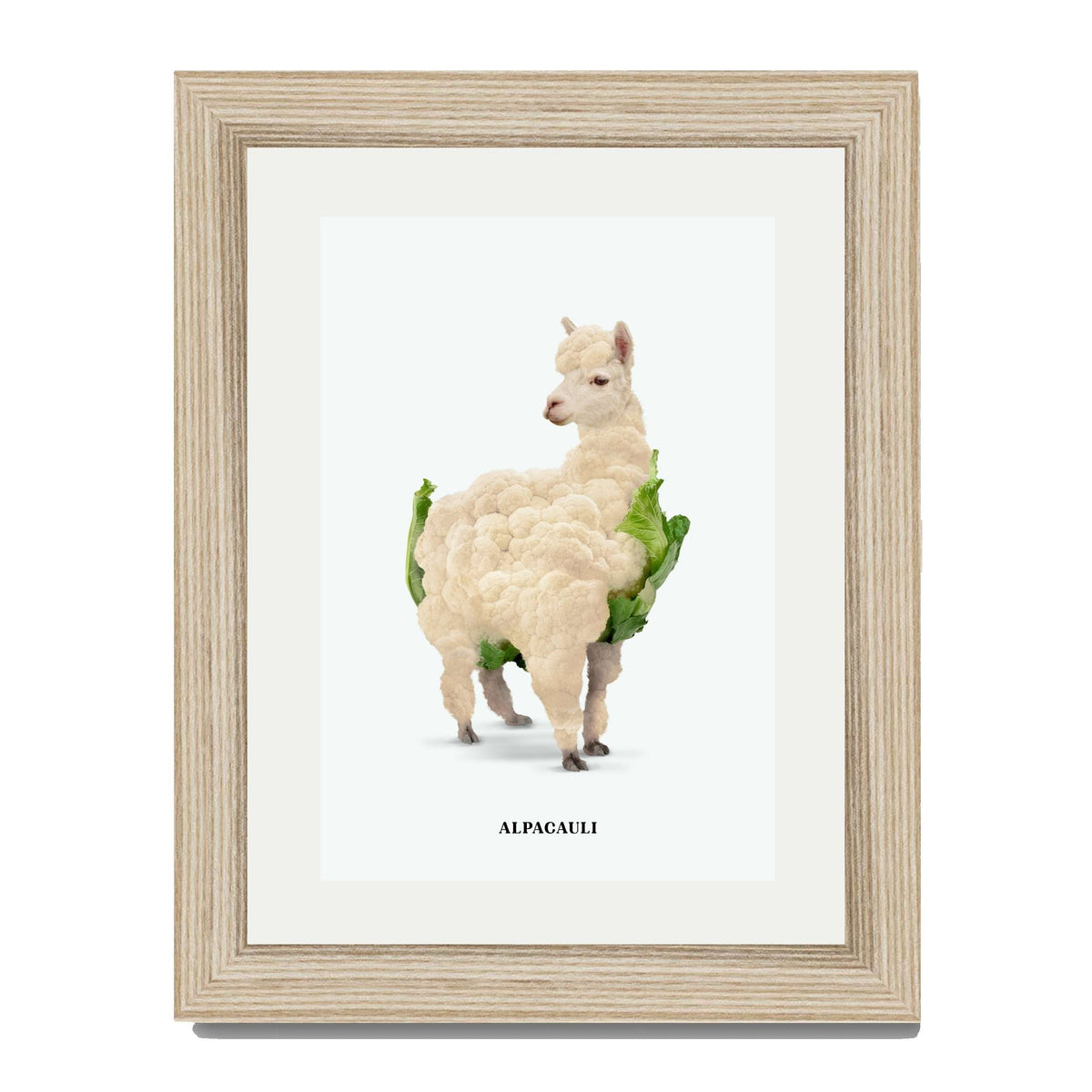 Greenwood Loop Alpaca Wall Art Print — gallery image 61