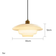 Hawthorn Frame Glass Dome Pendant Light — gallery image 15