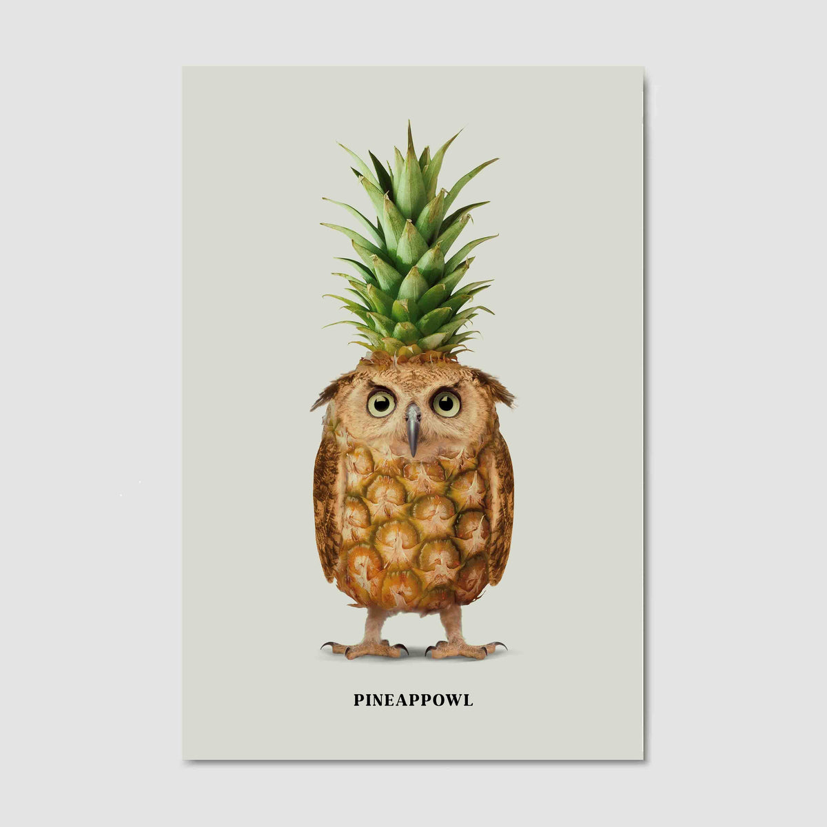 Fernwood Loop Owl Canvas Wall Art — gallery image 15