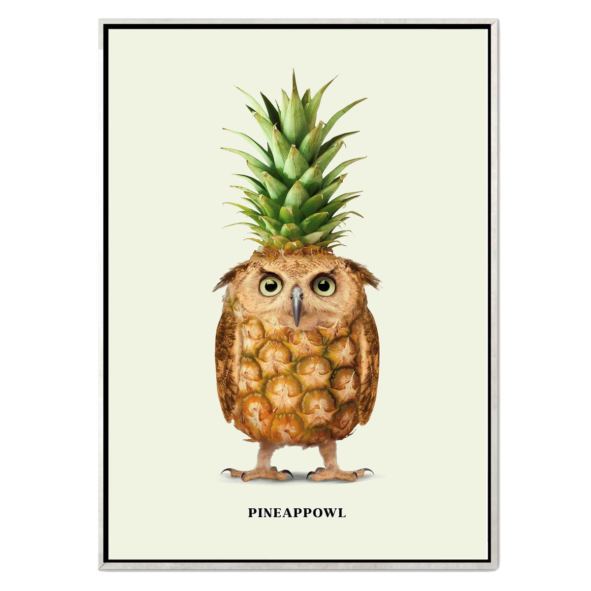 Fernwood Loop Owl Canvas Wall Art — gallery image 43