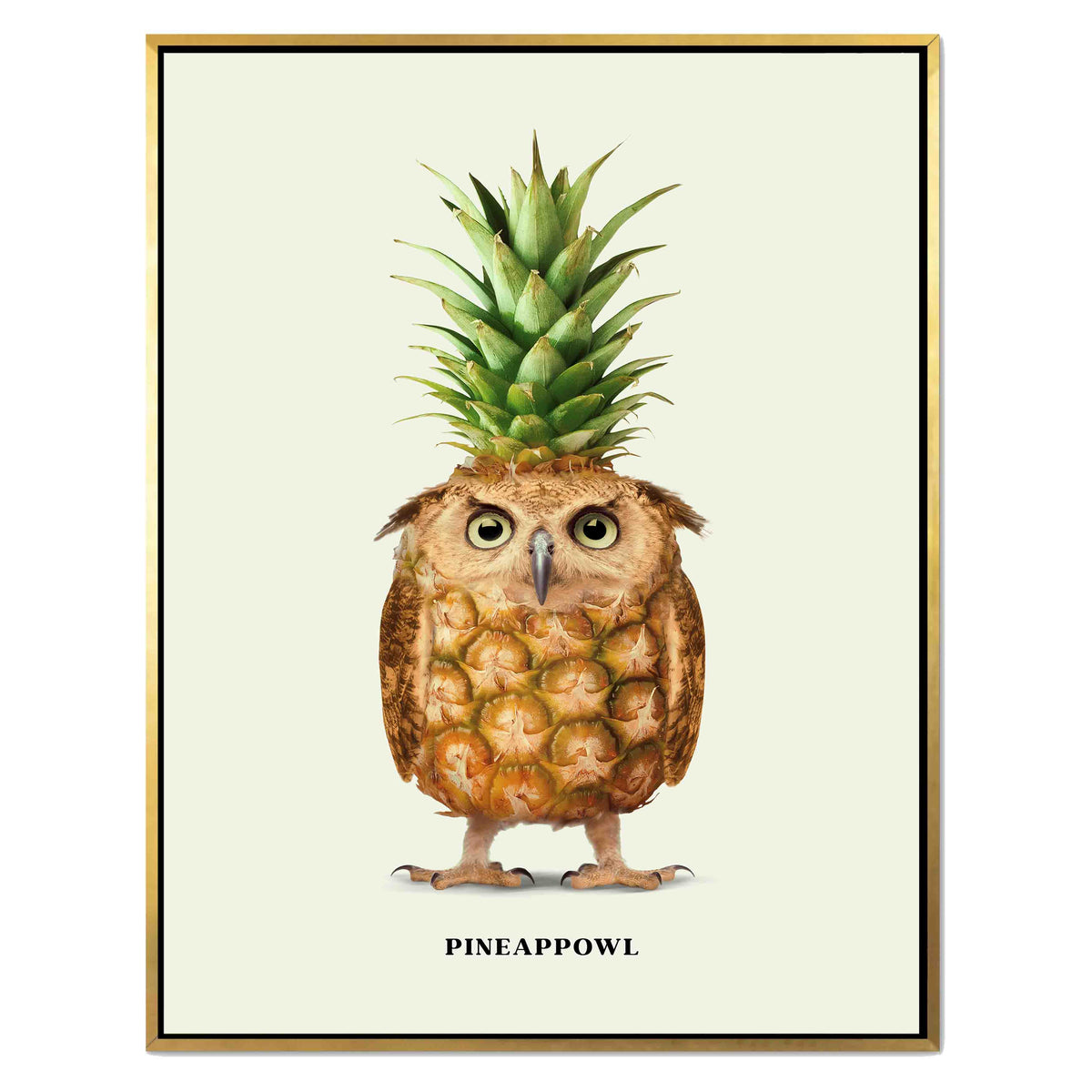 Fernwood Loop Owl Canvas Wall Art — gallery image 30