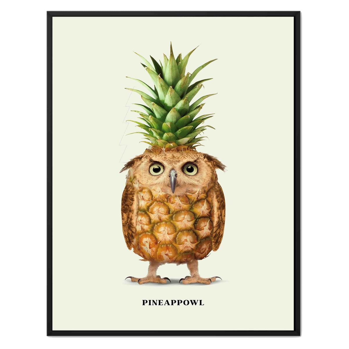 Fernwood Loop Owl Canvas Wall Art — gallery image 18