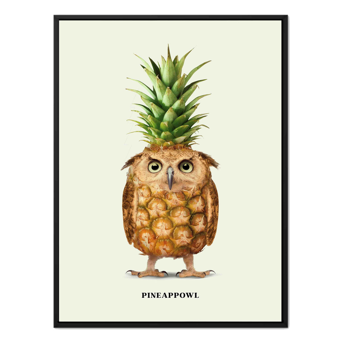 Fernwood Loop Owl Canvas Wall Art — gallery image 23