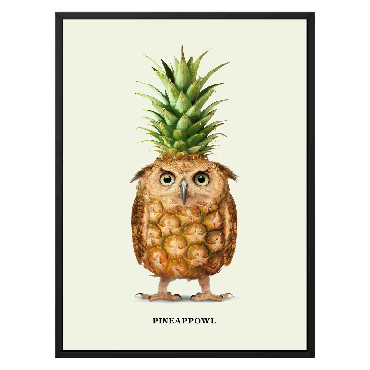 Fernwood Loop Owl Canvas Wall Art — gallery image 22