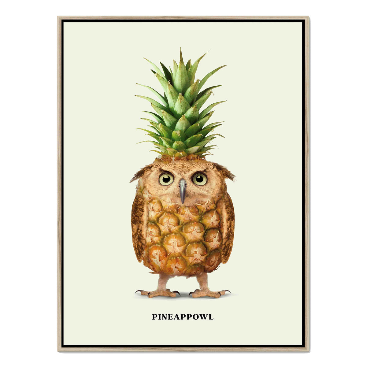 Fernwood Loop Owl Canvas Wall Art — gallery image 41