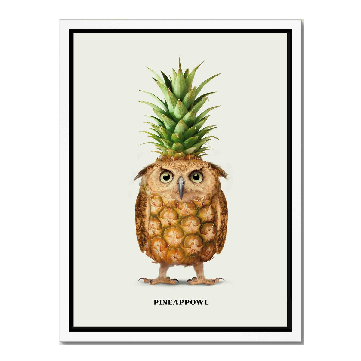 Fernwood Loop Owl Canvas Wall Art — gallery image 50