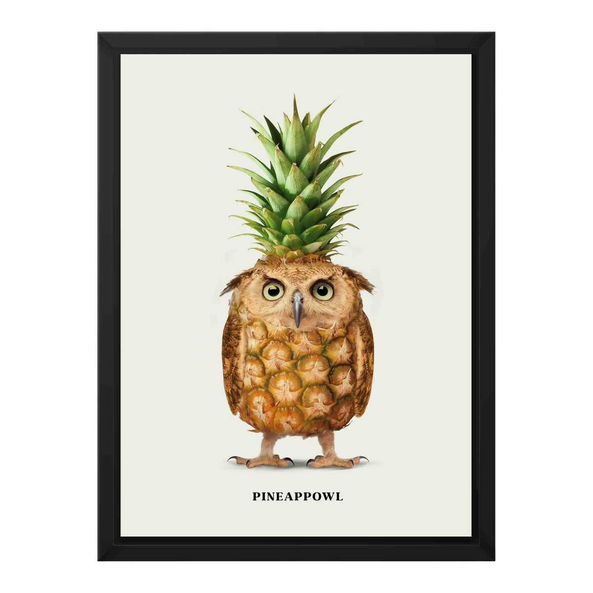 Fernwood Loop Owl Canvas Wall Art — gallery image 20