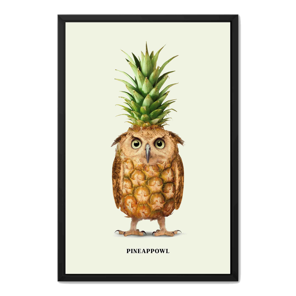 Fernwood Loop Owl Canvas Wall Art — gallery image 21