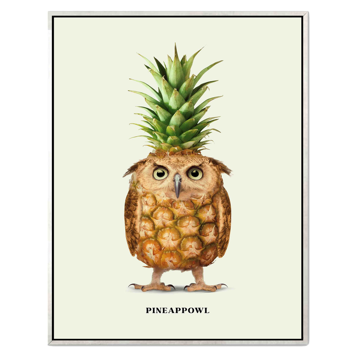 Fernwood Loop Owl Canvas Wall Art — gallery image 42