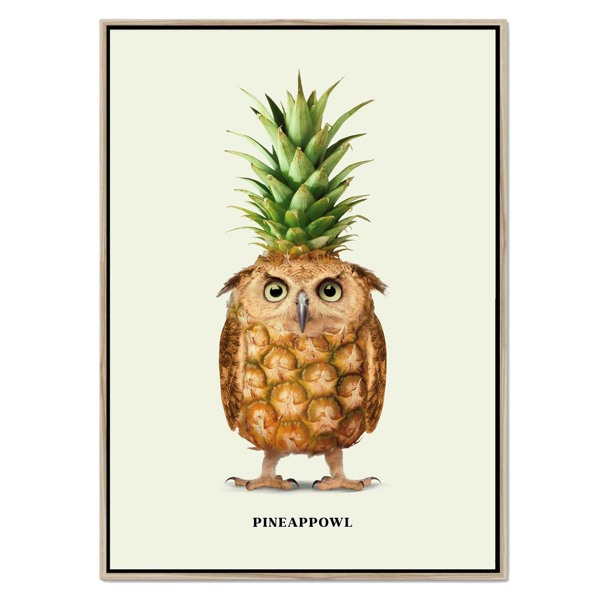 Fernwood Loop Owl Canvas Wall Art — gallery image 37